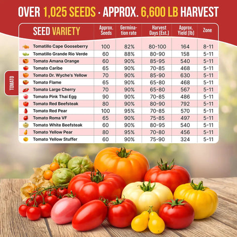 14 Rare Tomato And Tomatillo Garden Seeds Variety Pack With Over 1025 Non GMO Heirloom Seeds package with seed variety chart.