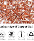 120 Pcs Copper Nails 1 Inch With 1/16 Inch Drill Bit 99.95 Percent Pure Copper Roofing Nails, pile view on surface