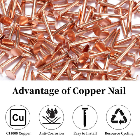 120 Pcs Copper Nails 1 Inch With 1/16 Inch Drill Bit 99.95 Percent Pure Copper Roofing Nails, pile view on surface