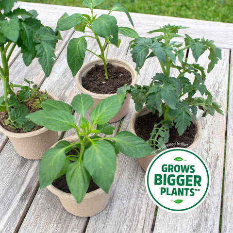 3-In-1 Seed Starting Mix For Herbs, Veggies, And Flowers, 6 Quarts, 100 Percent Organic And USA Made, seedlings in pots