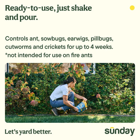 Person using Ant Adios Outdoor Bug And Ant Killer with Spinosad in garden, showing product usage and ease of application.