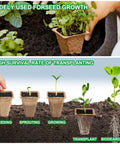 Seed Starter Tray Kit With 240 Cell Biodegradable Peat Pots For Seedlings showcasing plant growth stages and peat pots.
