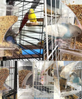 Two Piece Automatic Bird Feeder Kit With Clear Acrylic Hopper And Rock Solid Gravity Valve For Parakeets And Lovebirds in use with birds.