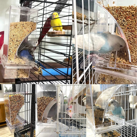 Two Piece Automatic Bird Feeder Kit With Clear Acrylic Hopper And Rock Solid Gravity Valve For Parakeets And Lovebirds in use with birds.