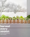9 Herb Indoor Window Garden Kit With Seed Starter for Fresh Homegrown Herbs on windowsill, winter landscape outside