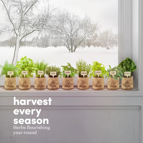 9 Herb Indoor Window Garden Kit With Seed Starter for Fresh Homegrown Herbs on windowsill, winter landscape outside