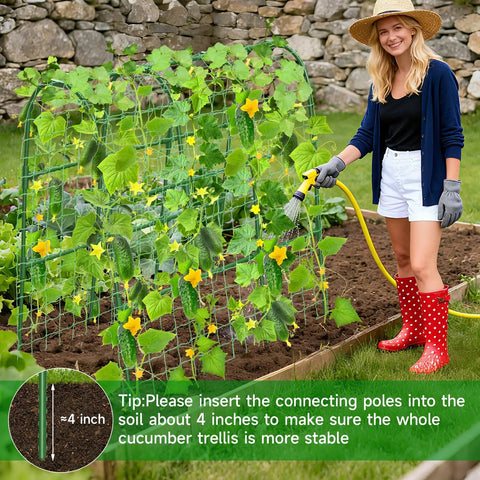 U Shaped Garden Trellis For Raised Beds Outdoor Climbing Plants, Built Tough Metal Arch Support For Tomatoes Peppers Cucumbers Peas Zucchini, Improves Airflow And Sunlight, 47.2In L By 30In W By 47.2In H with woman gardening