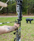 Archer aiming at 3D Black Bear Archery Target For Realistic Hunting Practice In The Backyard, Self-Healing Foam with Dura-Flex