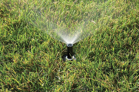Pressure Regulating Dual Spray Pop Up Sprinkler With 90 Degree Quarter Circle Pattern And 8 To 15 Foot Spray Distance, 4 Inch Pop Up Height, Water Saving Regulator Delivers Constant 30 PSI For Consistent Irrigation installed in lawn