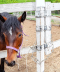 20 Inch Gate Chain Lock With Carabiner Stainless Steel Fence Gate Latch securing a fence near a horse in an outdoor setting