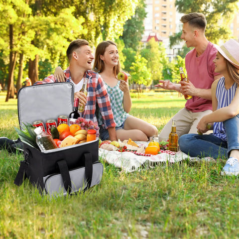 Portable Electric Cooler Bag Keeps Your Drinks Straight Up Frosty On Weekend Road Trips 15 Liter, filled with drinks and fruits at a picnic.