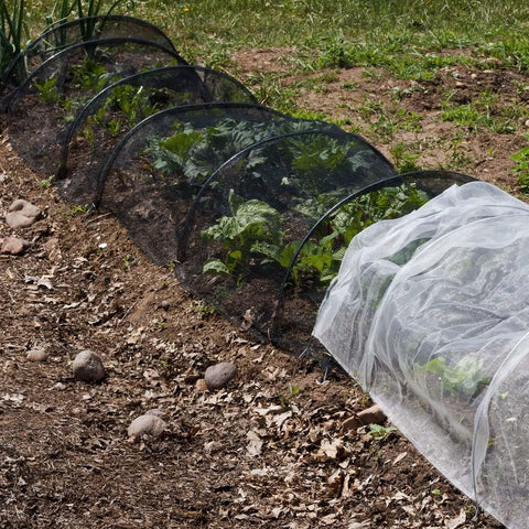 Garden Insect Mesh Netting For Plants And Patio Durable Mosquito Barrier Screen Large 9.84 By 13.12 Feet Black installed on garden plants.