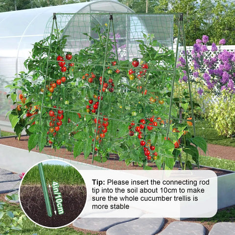 2 Pack Outdoor Plant Trellis Set For Climbing Vegetables And Vines Built To Last Metal With PE Coating No Rust Garden Supports