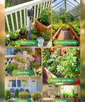 Collage of solar powered drip irrigation setup for balcony, greenhouse, garden, veggie garden, patio, and indoor use.