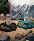 Two In One Reptile Water Bowl And Food Dish With Auto Fill Bottle Keeps Your Cage Clean And Critters Happy No Refill Hustle ideal for turtles and geckos.