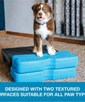 Puppy on Inflatable Dog Balance Training Platform Kit 2 Pack With Dope Air Pump Straps Training Videos Ebook And Digital Log