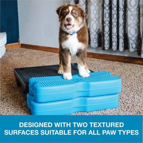 Puppy on Inflatable Dog Balance Training Platform Kit 2 Pack With Dope Air Pump Straps Training Videos Ebook And Digital Log