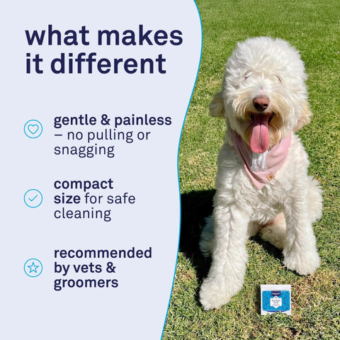 Extra Fine Stainless Steel Dog Eye Comb For Gentle Grooming And Tear Stain Cleanup The Safe Pain Free Face Cleaning Tool For Shih Tzu Maltese And Small Breeds Keeps Fur Around Eyes Debris And Mucus Under Control, compact tear stain comb