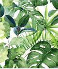 Tropical Palm Leaves Peel And Stick Wallpaper Roll Renters Friendly Easy Install Removable Vinyl Wall Decor Durable Non Transparent