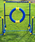 Agility Free Standing Wings For Dogs Pro Grade PVC Indoor Outdoor Obstacle Training Equipment with blue and yellow hoop on grass.