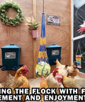 Automatic Chicken Feeder And Cup Waterer Set For Backyard Flocks No Waste Poultry Design in chicken coop with hens.