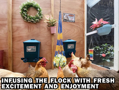 Automatic Chicken Feeder And Cup Waterer Set For Backyard Flocks No Waste Poultry Design in chicken coop with hens.