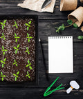 Six Pack Seed Starter Tray Kit with seedlings in soil, plant labels, and mini garden tools for germination.