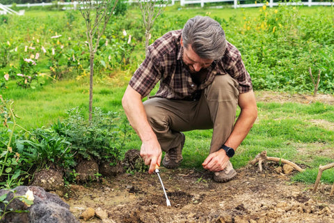 Gardener using Heavy Duty Hand Weeder With V Shaped Fork For Deep Root Uprooting Easy Garden Weed Puller Tool For Patio Lawn And Yard Manual Weed Removal