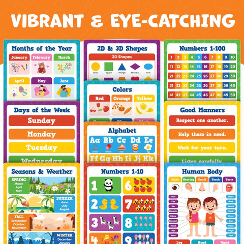 Massive 20 Poster Classroom Set 16 By 11 Inches vibrant educational posters with ABC, shapes, numbers, days of week, suitable for learning.
