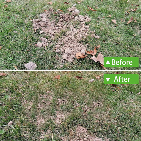 Before and after images using Stainless Steel Lawn Level Tool With Handle For Leveling Soil And Lawn In Garden Backyard And Golf Courses Durable 7Ft Ground Leveler 30x10In For No Sweat Fast Even Turf, showing smoother turf.