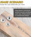Top Shelf 100 Pack 1 4 20 T Nuts 304 Stainless Steel Four Pronged Threaded Inserts For Woodworking on wood surface.