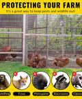 Chickens behind heavy duty vinyl coated welded wire mesh roll for DIY projects 48 inch wide by 50 foot long one half inch mesh 19 gauge black.