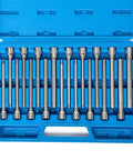 Extra Long Hex Bit Socket Set For Three Eighths Inch Drive, Thirty Two Piece SAE And Metric Allen Bits in blue case