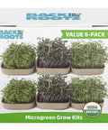 DIY Microgreen Grow Kit Six Grow Variety Pack For Organic Non GMO Pesticide Free Home Kitchen Garden Easy Setup box front view