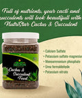 Cactus And Succulent Plant Food For Indoor And Outdoor Plants No Fuss Low Maintenance Fertilizer That Feeds Every Other Month All Purpose Cacti Fertilizer With Rich Nutrients For Healthy Growth. 2 lb jar