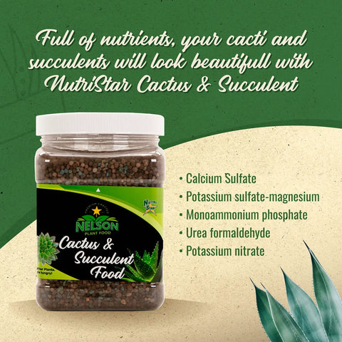 Cactus And Succulent Plant Food For Indoor And Outdoor Plants No Fuss Low Maintenance Fertilizer That Feeds Every Other Month All Purpose Cacti Fertilizer With Rich Nutrients For Healthy Growth. 2 lb jar