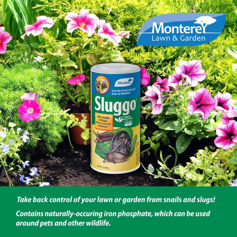 Sluggo Snail And Slug Killer Bundled With Measuring Spoon For Organic Gardening OMRI Listed Wildlife Friendly Pet Safe 1 Pound Shaker Can For Lawns And Gardens Greenhouses Vegetables Fruits Berries And Ornamentals displayed in a garden setting with flowers