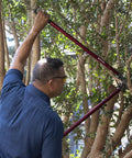 Man using 36 Inch Branch Cutter Loppers With Aluminum Handles And Dual Arc Bypass Blade in orchard trimming branches