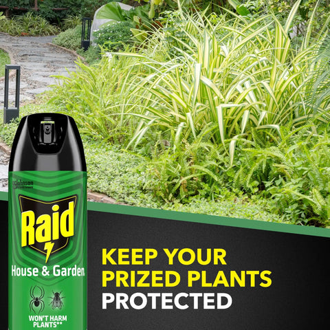 House And Garden Insect Killer Spray That Kills Ants Roaches And Spiders Indoor And Outdoor Use Won't Harm Plants 11 Ounce Bottle