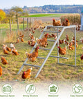 Chicken Perch With Ladder And Swing For Coop Roosting Bars For Chickens Enrichment Toy And Activity Playground In Wooden Run Totally Backyard Farm Accessory For Your Flock in outdoor setting with chickens.