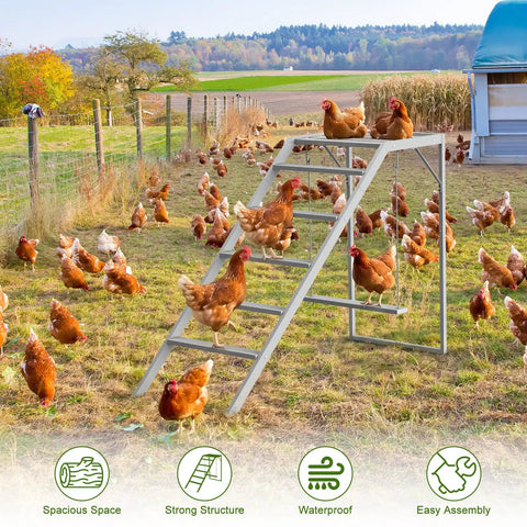 Chicken Perch With Ladder And Swing For Coop Roosting Bars For Chickens Enrichment Toy And Activity Playground In Wooden Run Totally Backyard Farm Accessory For Your Flock in outdoor setting with chickens.