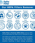 Infographic showing types of particles removed by Fette Filter HEPA filters, including pollen, microbes, mold spores, and bacteria.