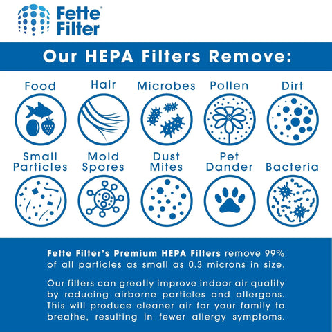 Infographic showing types of particles removed by Fette Filter HEPA filters, including pollen, microbes, mold spores, and bacteria.