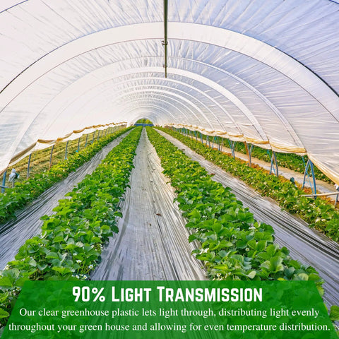 Clear 6 Mil Greenhouse Plastic Sheeting For Hoop Houses UV Resistant Polyethylene Film 25 Foot By 40 Foot Coverage Heavy Duty Garden Cover For Gardening Farming Agriculture