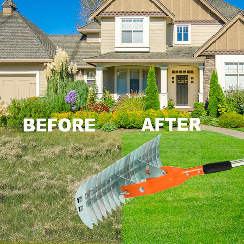 15 Inch Dethatcher Lawn Rake With Adjustable Handle For Thatch Removal And Scarification, Manual Thatching Tool shows lawn before and after use