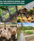 Heavy Duty 19 Gauge Hardware Cloth 16X50 Ft Roll Featuring Half Inch Square Mesh Rustproof Steel Fence Wire For Poultry Coops And Backyard Rodent Guard in garden and animal settings.