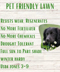 White Dutch Clover Seed Kit 1 Lb Organic Coated Ground Cover For Natural Lawn And Food Plot benefits, dog friendly features