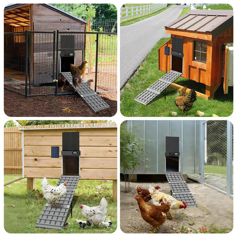 Four coops with adjustable chicken coop ramp with waterproof non slip design for poultry with limited mobility at the door