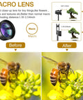 Macro lens effect on bee and flower showcasing detail with 3 In 1 Phone Lens Kit For Android With 198 Degree Fisheye, 120 Degree Wide And Macro.