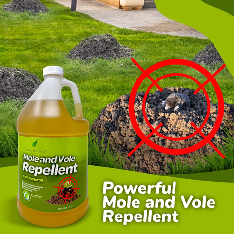 Mole And Vole Repellent With 100 Percent Castor Oil Formula For A Healthy Lawn And Yard, Big Coverage 128 Oz Gallon displayed outdoors